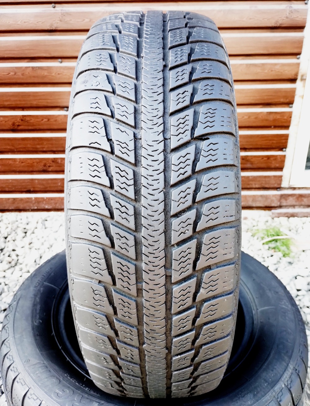 з б/у 195/65R15 Targum Winter 3 3019 4.5-5мм